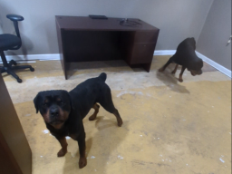 boys at the shop 03